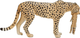 Figurka Mojo Wildlife Cheetah Female with Cub 6 cm (5031923871670) - obraz 4