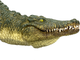 Figurka Mojo Wildlife Crocodile with Articulated Jaw 8 cm (5031923871625) - obraz 6