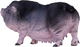 Figurka Mojo Pot Bellied Pig Medium 8 sm (5031923810792) - obraz 3