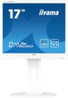 РК монітор Iiyama B1780SD-W1 - изображение 1