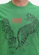 Футболка CAVALLI Зелений XXL (QXT62Y_JD060_07334XXL) - изображение 4