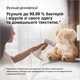 Отпариватель BRAUN QuickStyle 5 GS5011PU - изображение 4