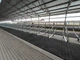 Резиновый мат Rombo для КРС 1400х1200х25 - изображение 5