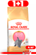 Сухой корм Royal Canin Kitten British Shorthair для котят породы британская короткошерстная 4кг - изображение 1