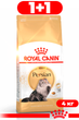 Сухий корм Royal Canin Adult Persian для дорослих котів персидської породи 4кг - зображення 1