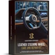 Набор для реставрации кожи руля | Leather Expert SW Care and Repair Kit | Черный - изображение 2