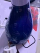 Отпариватель одежды ручной дорожный Rainberg 2256RB мощный 3000 Вт паровой утюг с автоматической подачей пара и щеткой для удаления ворса - изображение 2