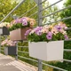 Умный вазон Lechuza Balconera Color 80 Мускат (15684) - изображение 9