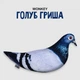 Мягкая игрушка антистресс WONKEY Голубь Гриша 30см 33001 - изображение 1