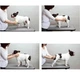 Силиконовая щетка для короткой шерсти собак и кошек Doggy Man Honey Smile 105*70мм - изображение 5
