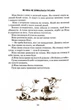 Квітка сонця - зображення 10