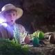 Іграшка, що зростає, в яйці «Dino Eggs» - Динозаври неба, землі, моря - изображение 2