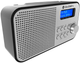 Radio GoGEN DAB 300 N Srebrny (GOG-DAB300N) - obraz 3