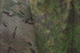 Маскувальна сітка MLH-GEAR Multicam, М(150см*180см) - изображение 10