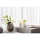 Набор стаканов 300 мл, 4 шт. Manufacture Rock blanc glass Villeroy&Boch 1137998260 - изображение 2