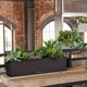Вазон Lechuza Balconera Stone 80 Кварцевый Белый (15667 / 4008789156679) - изображение 7
