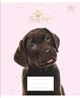 Набір зошитів учнівських Interdruk Premium I lOVE PETS , 4шт, формат А5+ 12 аркушів клітинка(298553-4) - изображение 5