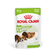 Консервований корм Royal Canin X-small Adult in gravy Вологий корм для дорослих собак мініатюрних розмірів 85 г (8033010) - зображення 1