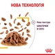 Консервированный корм Royal Canin Sensory Taste in Gravy 85 г (1518001) - изображение 3