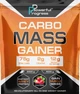 Гейнер для набора массы Powerful Progress Carbo Mass Gainer 2 кг - изображение 5