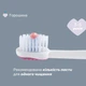 Зубна щітка Chicco Milk Teeth на присосці 3-6 років Рожева (12083.00) - зображення 5