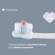 Зубна щітка Chicco Milk Teeth на присосці 3-6 років Блакитна (12083.11) - зображення 5