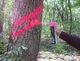 Флуоресцентная аэрозольная краска для маркировки леса Biodur Forest Marking Spray (розовая) - изображение 5