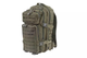 Рюкзак GFC Assault Pack Laser Cut 30 л Olive - зображення 1