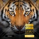 Проектор Everycom L8 (android version) Full HD LED Android с Bluetooth - изображение 8