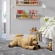 М'яка іграшка IKEA GOSIG GOLDEN собака/золотий ретривер (101.327.88) - зображення 3