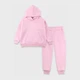Детский теплый спортивный костюм (худи + штаны) для девочки Flamingo 721-341 134 см Розовый (4829960126737) - изображение 1