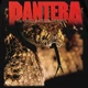 Футболка с принтом Pantera The Great Southern Trendkill L Черный Ф Pan002-Ч L - изображение 2