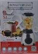 Стационарный блендер с кофемолкой (2 в 1) Royalty Line SME-600.6 - изображение 5