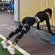 Леггинсы женские спортивные лосины размер M цвет чорно-белый с эффектом push-up Пуш Ап с Высокой Посадкой Спортивные Бесшовные Мраморные Тай Дай - изображение 3