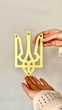 Декоративная картина из металла Герб маленький - изображение 5