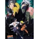 Набір постерів NARUTO SHIPPUDEN Ninjas (Наруто) - изображение 2