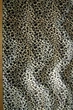 Ткань искусственный мех "Лео" 250г/м2 150см 1пог.м (№8359) - изображение 1