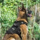 Шлея-жилет OneTigris Dog Gear X Commander Harness для собак Черный L (161426) - изображение 6
