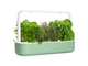 Гидропонная установка – умный сад Click and Grow SG9S13UNI Smart Garden 9 (Ограниченная серия) Мятно-зеленый - изображение 2