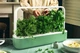 Гидропонная установка – умный сад Click and Grow SG9S13UNI Smart Garden 9 (Ограниченная серия) Мятно-зеленый - изображение 3