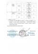 Антисептик дезинфектор для рук, стерилизатор для кожи 1л, дезинфектант SOLO Sterile (3002) - изображение 4