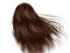 Крем-краска для волос Green Light с белым чаем и экстрактом орхидеи Luxury Haircolor Permanent Coloring Cream 5.32 Light Beige Brown 100 мл - изображение 2