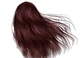 Крем-краска для волос Green Light с белым чаем и экстрактом орхидеи Luxury Haircolor Permanent Coloring Cream 4.4 Copper Brown 100 мл - изображение 2