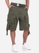 Шорты мужские Surplus Division Shorts 07-5598-01 5XL [182] Olive (4250403105758) - изображение 1