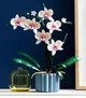 Конструктор цветы Орхидея в горшке Botanic Orchid на 608 деталей - изображение 6