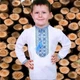 Вишиванка для хлопчика біла Козак, вишивка хрестиком, довгий рукав, повсякденна, 164, блакитна - зображення 2