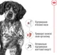 Сухой корм для собак Royal Canin Medium Adult 7+ средних пород от 7 лет 4 кг (3182550708203) (30050400) - изображение 3