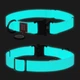 Ошейник для собак средних пород WAUDOG Waterproof, ментоловый, свето-накопительный (светится в темноте) Collartex, QR-паспорт, металлическая пряжка-фастекс, ширина 20 мм, длина 28–40 см, размер M, арт. 2787 - изображение 1