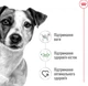 Сухий корм для собак Royal Canin Mini Adult дрібних порід вагою до 10 кг від 10 місяців 800 г (30010800) (3182551055658)A - изображение 3