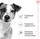 Сухий корм для дорослих собак дрібних порід Royal Canin Mini Adult 8+ старше 8 років 800 г (3182550831413) (831413) - зображення 3